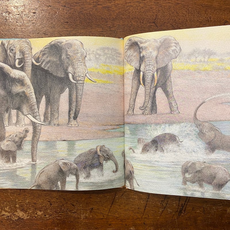 ふるさと：吉田遠志・動物絵本シリーズ14」吉田遠志 | Frobergue