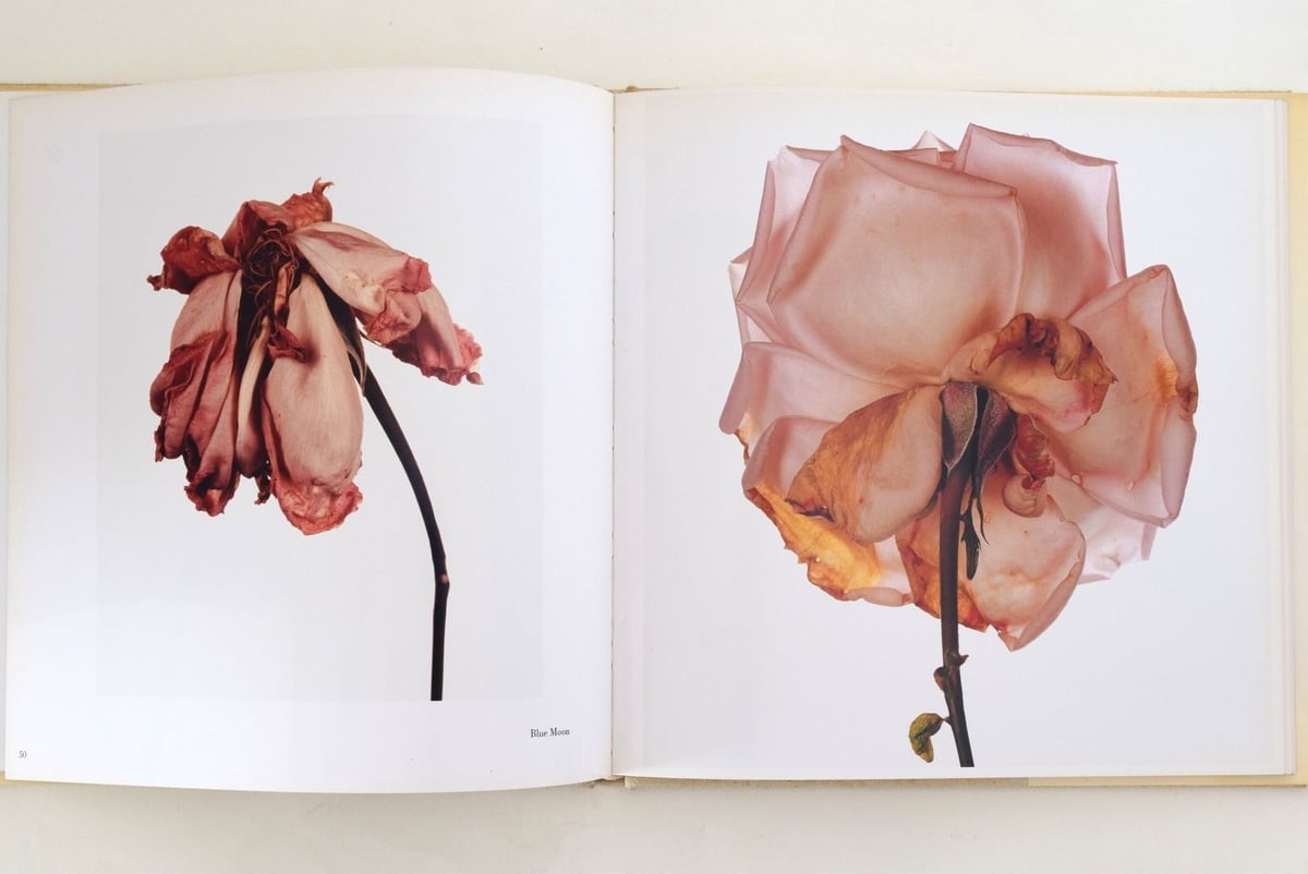 FLOWERS IRVING PENN | 誠光社 通信販売