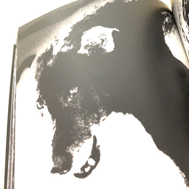 サイン入り》Daido Silk | 誠光社 通信販売