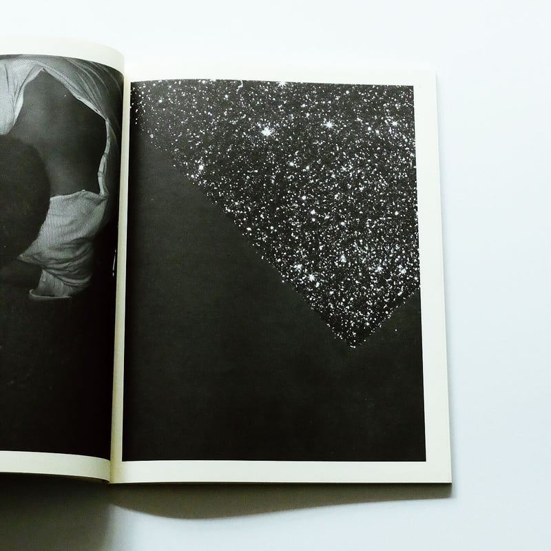 ppaper Special 03: Hedi Slimane | Book Ernest