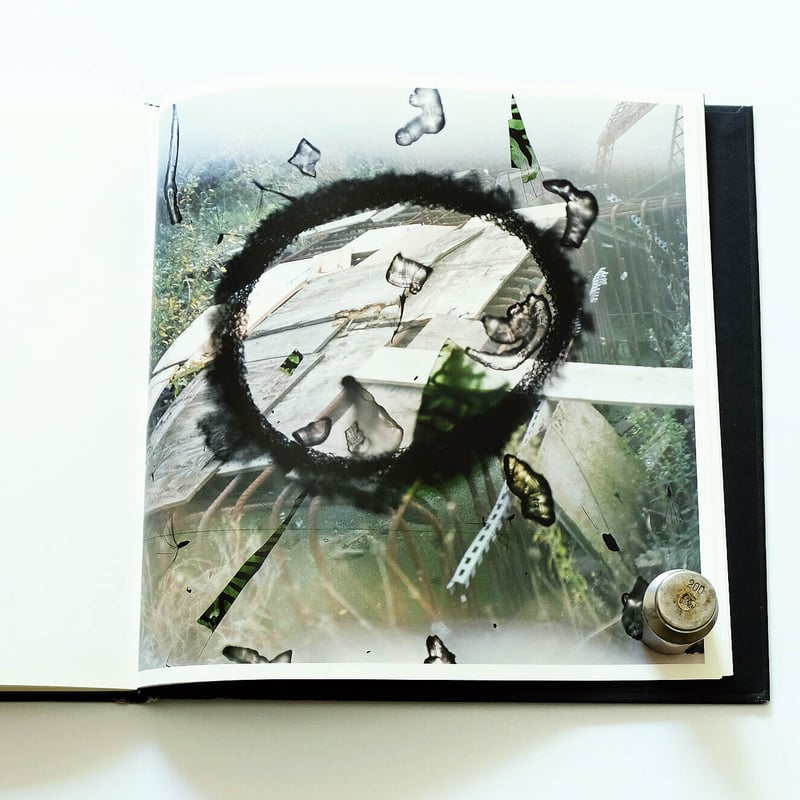 Stephen Gill: Talking to Ants | Book Ernest