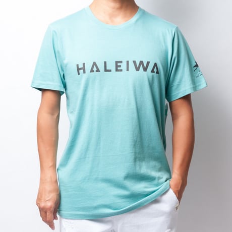 CATEGORY VISSLA/ヴィスラ | ISLANDER