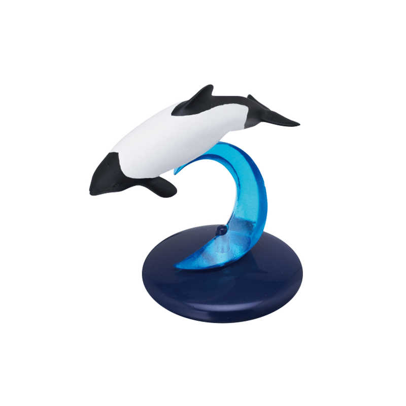 NTC 400 クジラとイルカ | 株式会社いきもん WEBストア