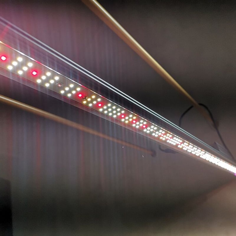 ◇ Helios Green LED シリーズ ／Helios Green LED PUPPY