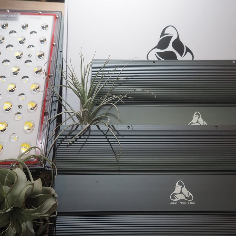 ◇ Helios Green LED PRO Booster 3枚一式セット (303)／ 広