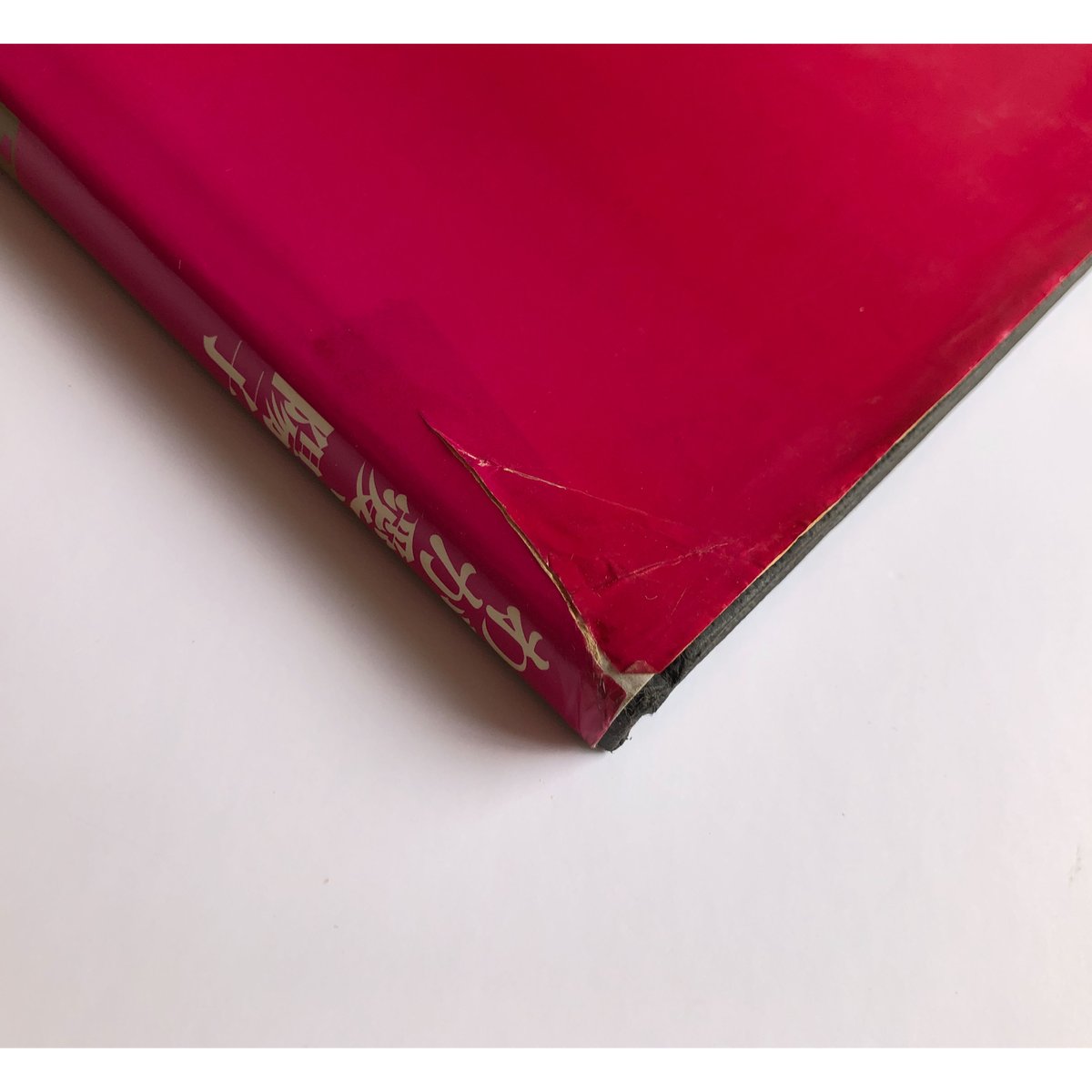 わが愛、陽子（ソノラマ写真選書7） - 荒木経惟 | ホホホ座浄土寺店