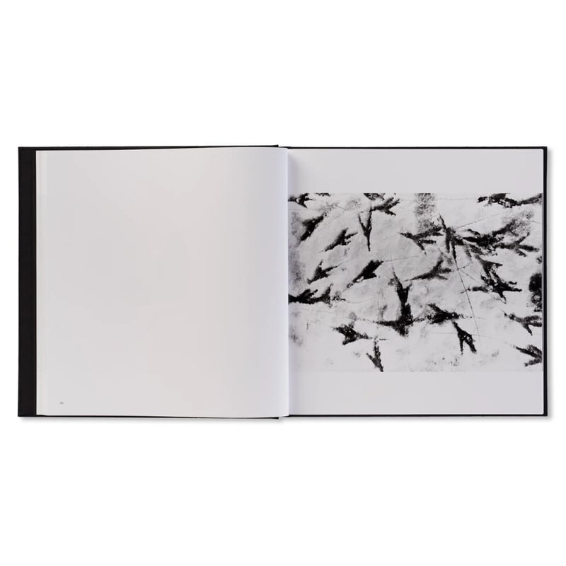 鴉（RAVENS） / 深瀬昌久 | ホホホ座浄土寺店