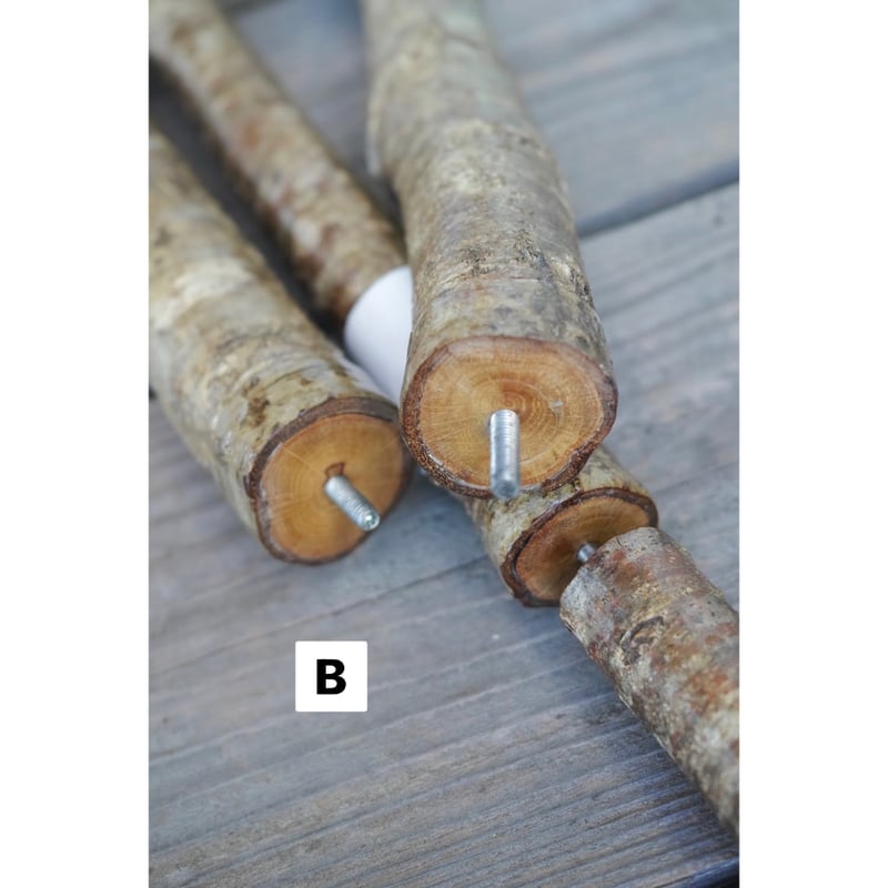 ENTOHOポール | Purveyors