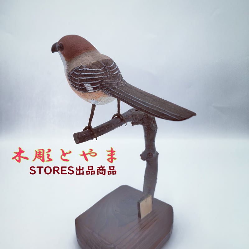 木彫バードカービング】モズ | 木彫とやま STORESネットショップ