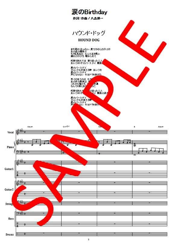 ハウンド・ドッグ(HOUND DOG) / 涙のBirthday バンド・スコア (TAB譜)