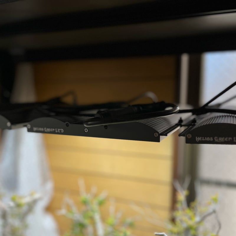 Helios Green LED PRO HGP-303 | Laut design onli