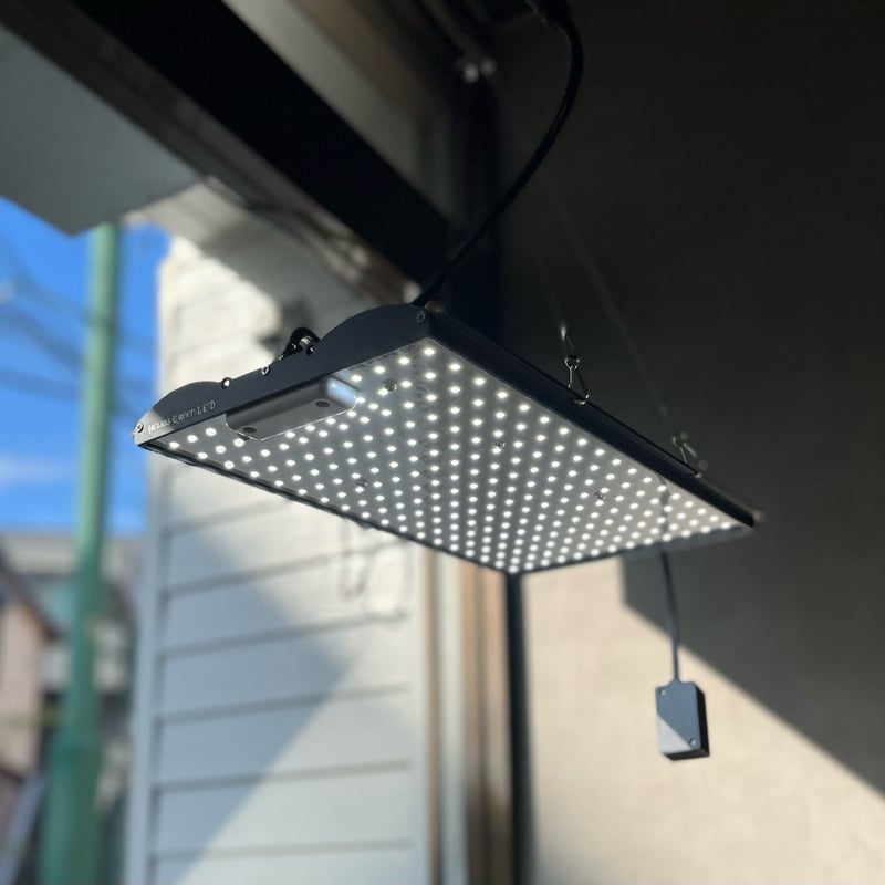 Helios Green LED PRO HGP-101 | Laut design onli