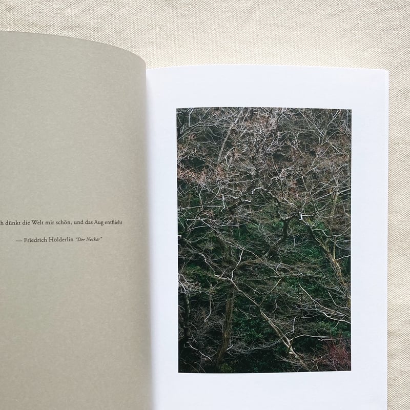 山上新平｜KANON | 曲線