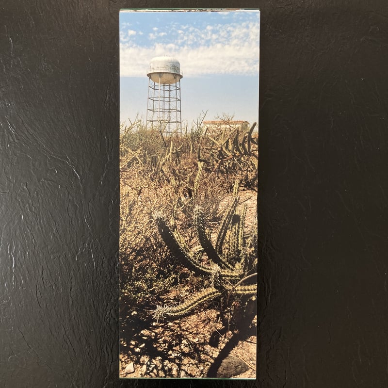 Signed】馬とサボテン Horse& Cactus｜尾仲浩二（Koji Onaka） |