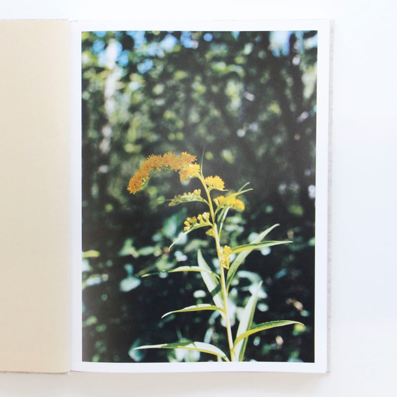 長島有里枝『SWISS』 | Fugensha STORE