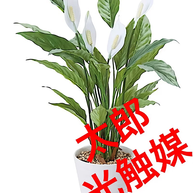 光触媒 人工観葉植物 ウォールグリーン フェイク フラワー