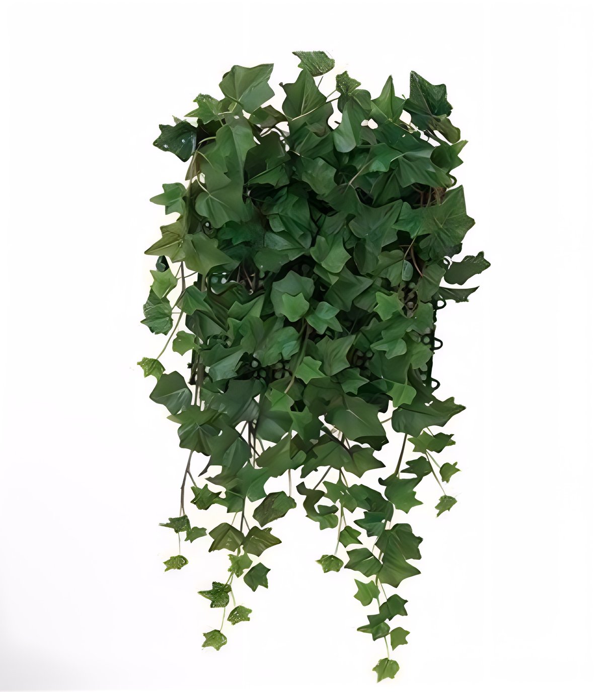 光触媒 人工観葉植物 ウォールグリーン フェイクグリーン 壁面緑化