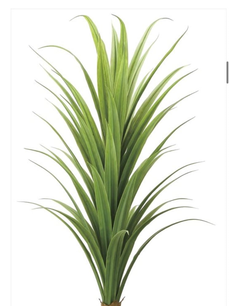 光触媒 人工観葉植物 フェイクグリーン ドラセナ 高さ 1.8m | 太郎's STORE