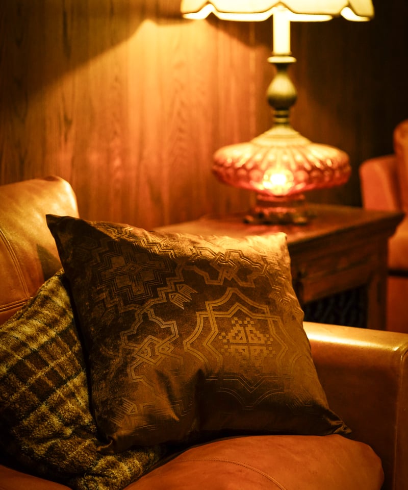 Veroa Cushion Cover | old mountain