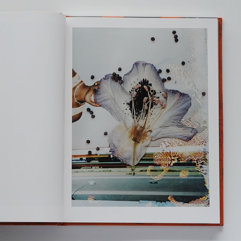 Hackney Flowers | Nobody Books. jp