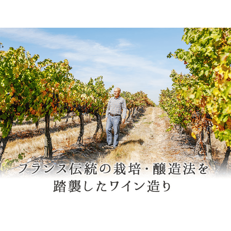 セール カベルネ・ソーヴィニョン ヴィニャ・マーティ Ser Cabernet