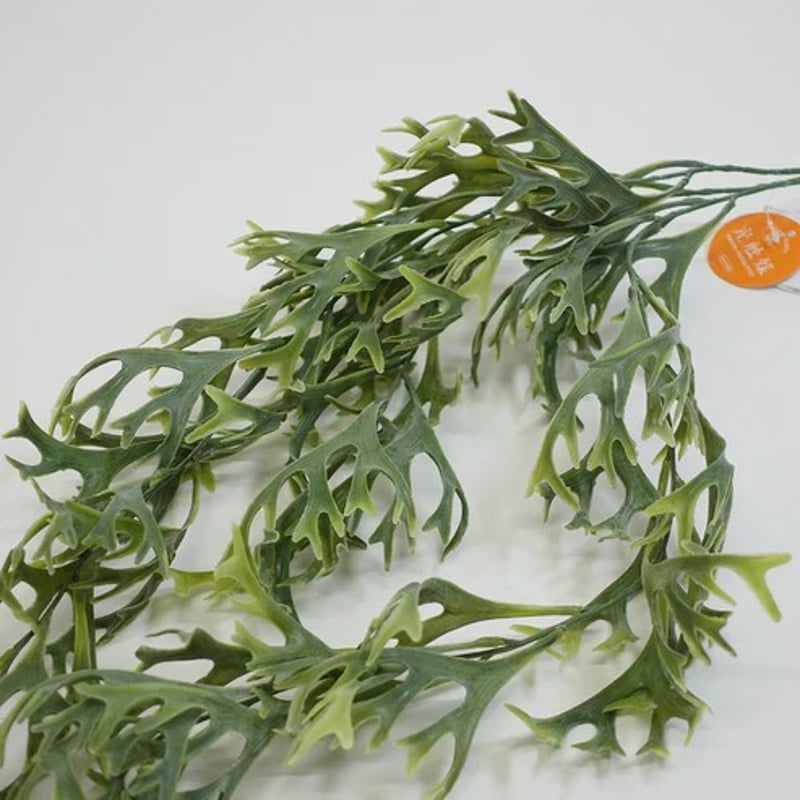 光触媒 消臭効果 抗菌効果 壁掛けフェイクグリーン 植物 造花コウモリ