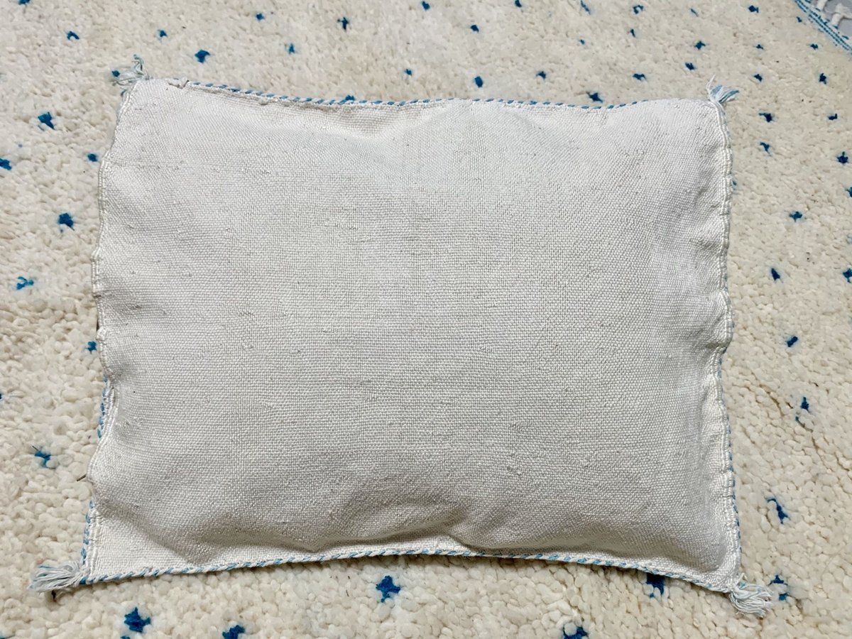 モロッコ カクタスシルク サブラ クッションカバー 100 | Boawid