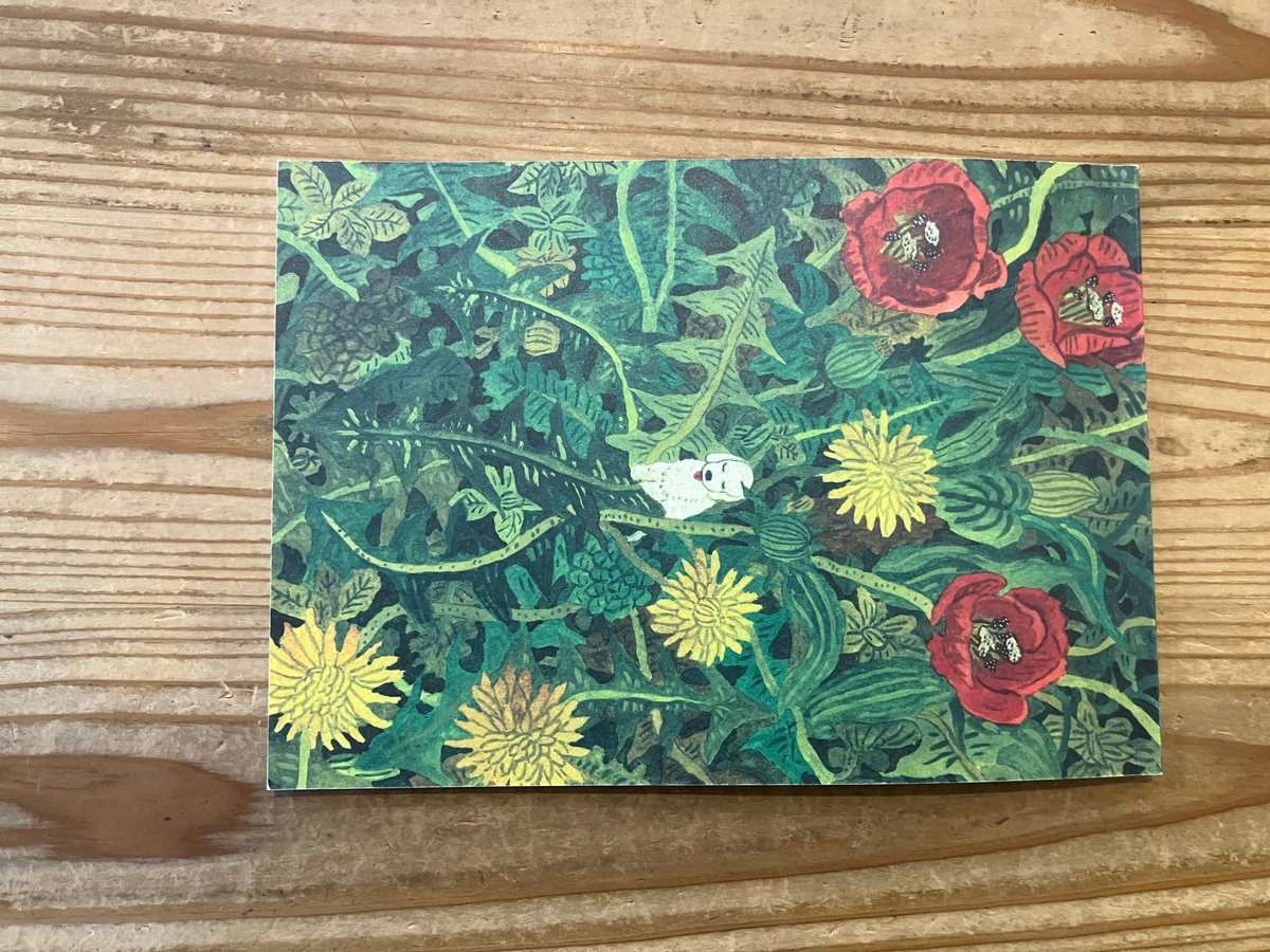 サイン入り》中村雅奈（中村一般）「まもりばな」 | 本・中川