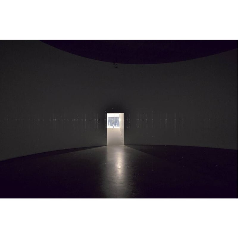 特装版】内藤礼｜うつしあう創造 | HeHe