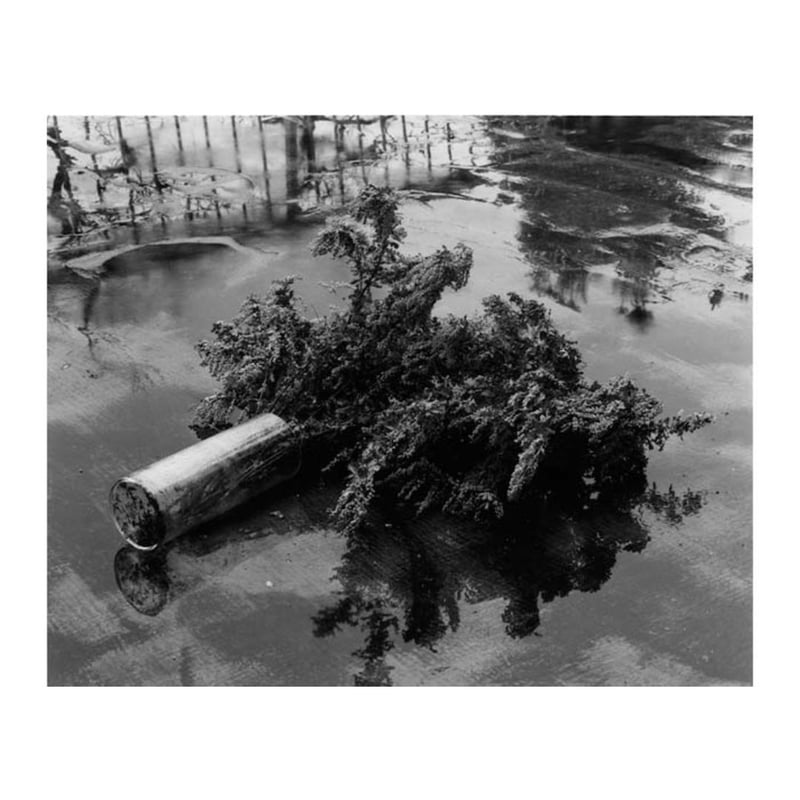 荒木経惟｜センチメンタルな旅 1971－2017－ | HeHe