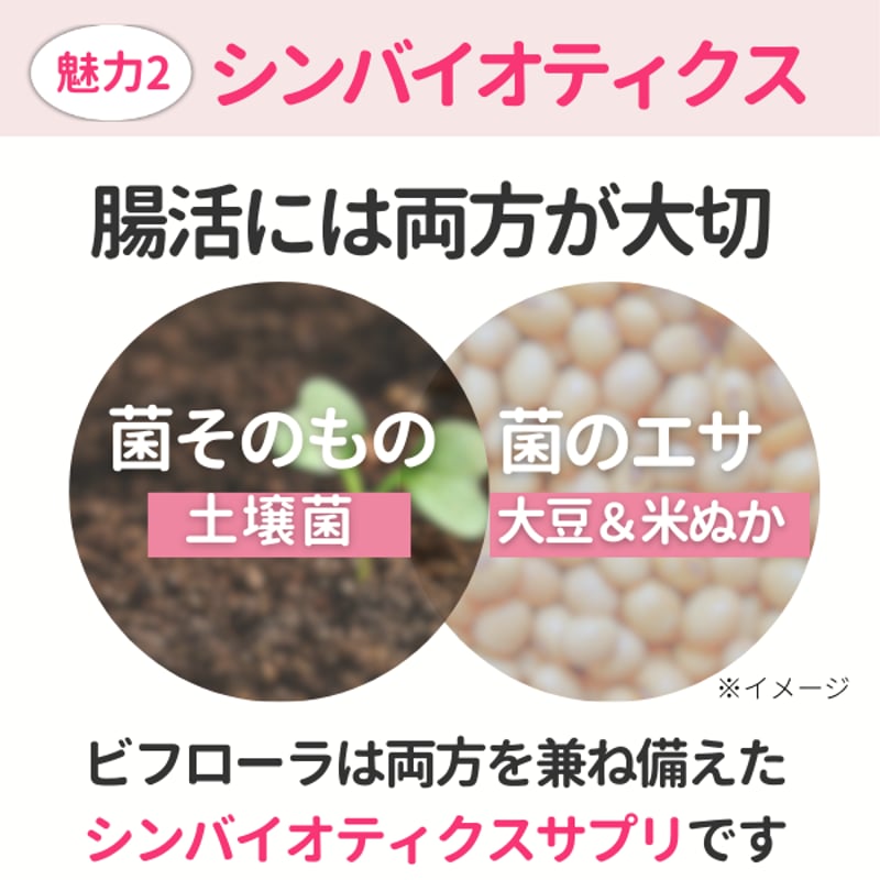 カプセル60粒入り | ビフローラエンザイム 公式