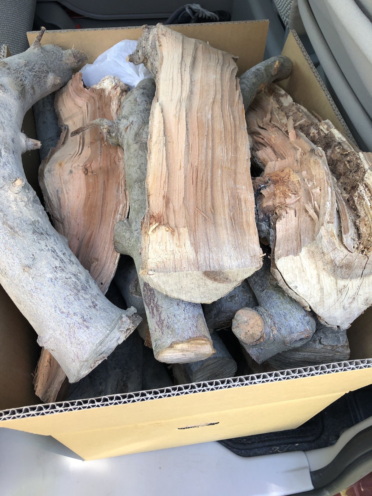 りんごの薪10kg 長野県産 (約40cm) 一箱 薪ストーブ・焚き火・BBQに