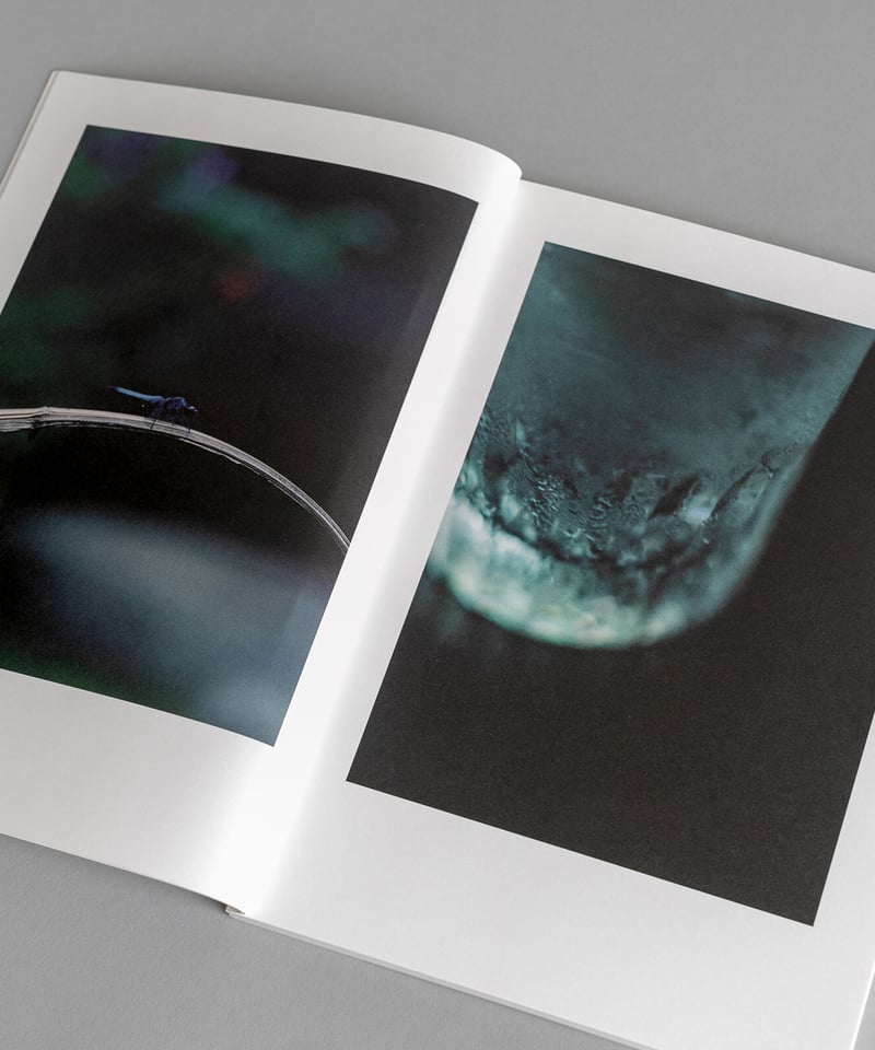 大林直行写真集「おひか」 | Naoyuki Obayashi Online Store