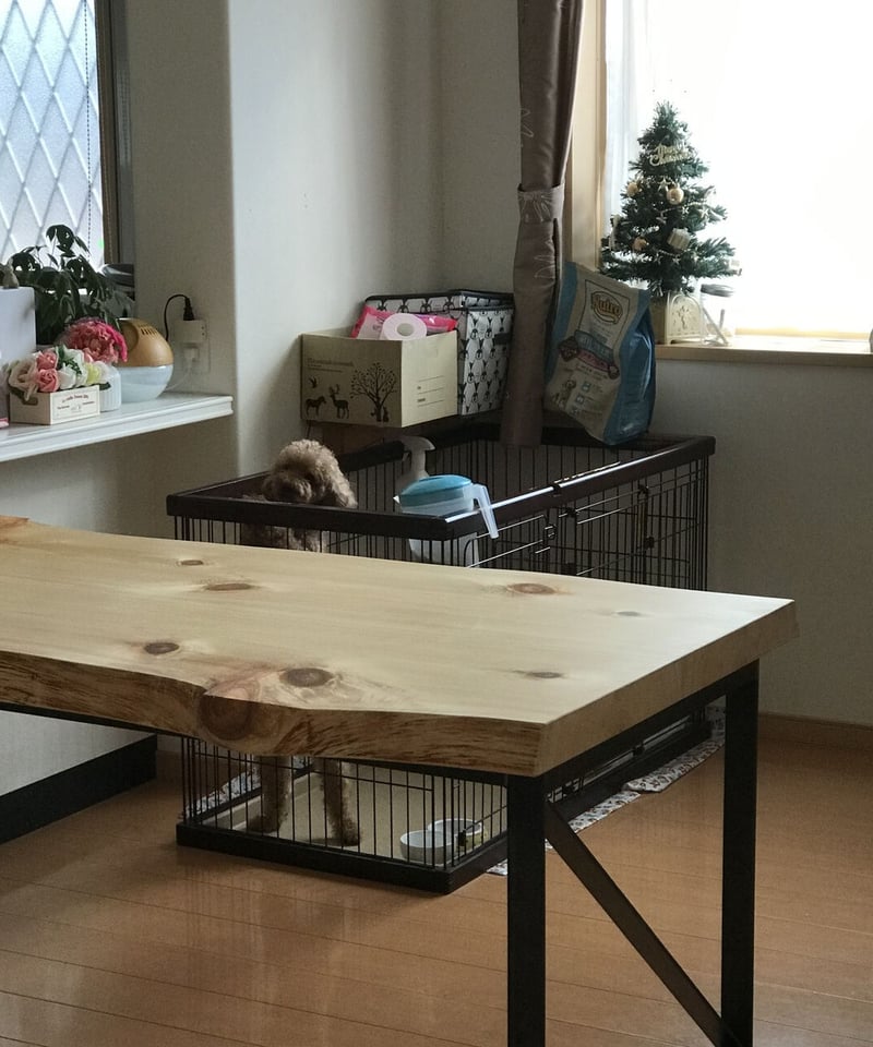 1st TABLE ヒノキ天板 FBアイアン脚 | BROOK online store