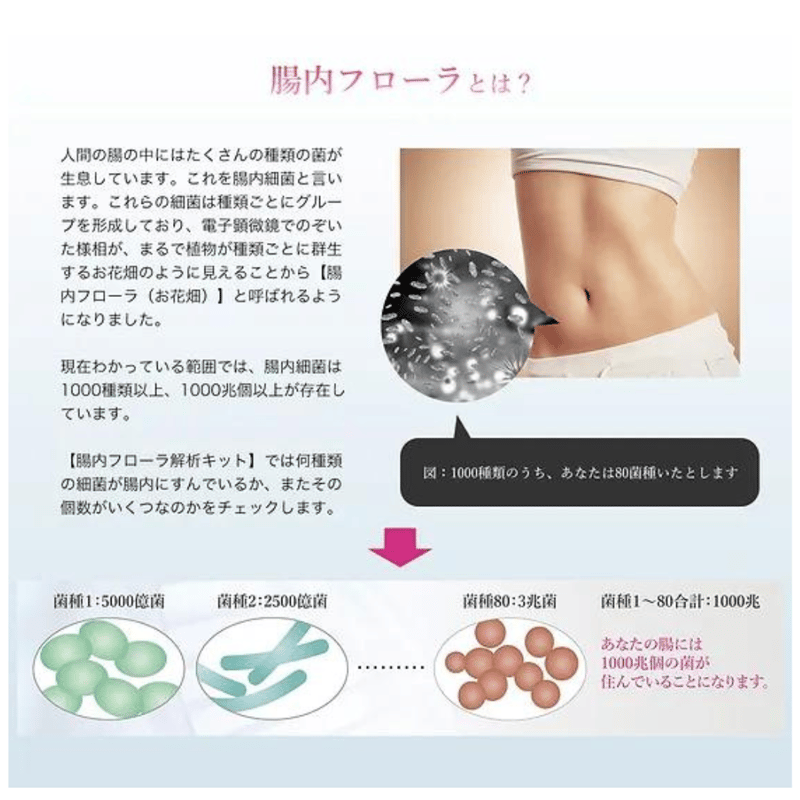 腸内フローラ解析キット &腸解析プランニング | 食と暮らしのいろどり