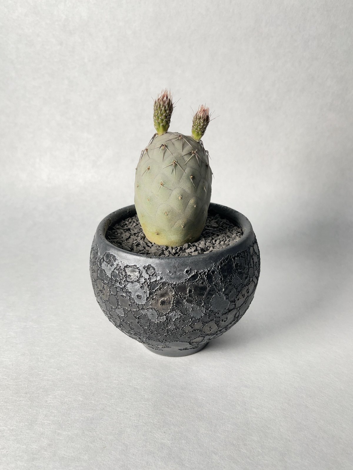 中川智治9 | t.roots