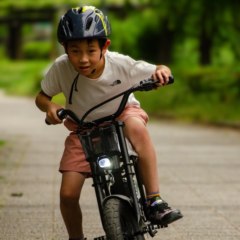 EVEREST XING emove 子供用電動バイク 大人も楽しめるミニバイク