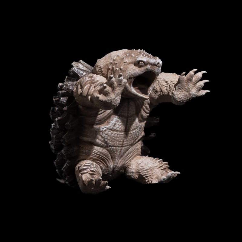 LOBINDON 亀甲亀フィギュア | Ducks ( plants. )