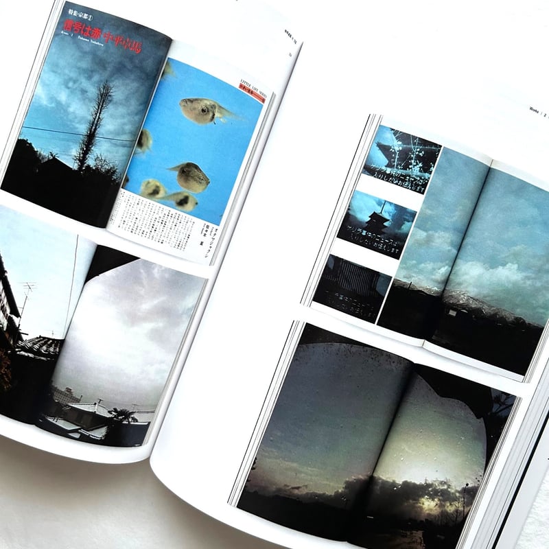 中平卓馬 火―氾濫 / 中平卓馬 | 本まるさんかくしかく