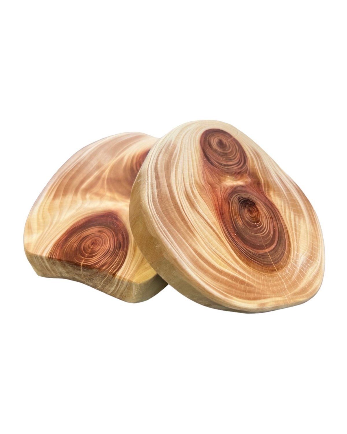 コースターL【100年ヒノキ】 | cycle