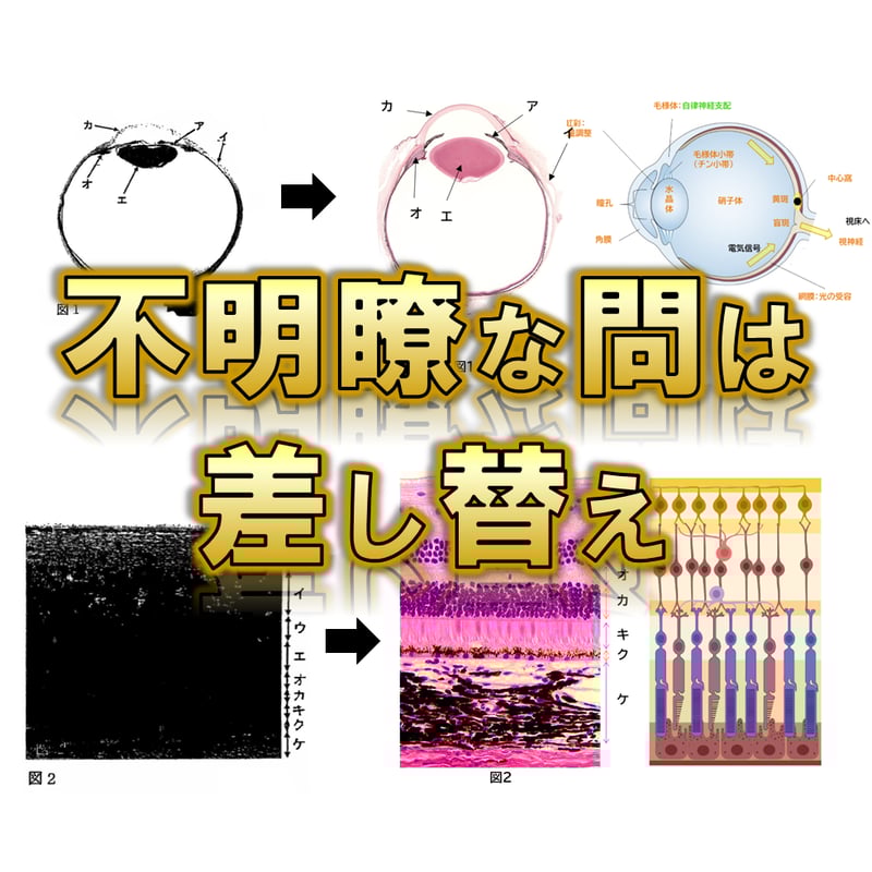 高知大学】 2026年度入試 解答解説 医学部学士編入 | 医学部学士編入塾Cell