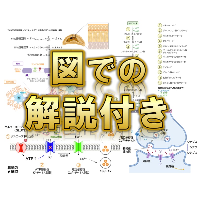 高知大学】 2026年度入試 解答解説 医学部学士編入 | 医学部学士編入塾Cell