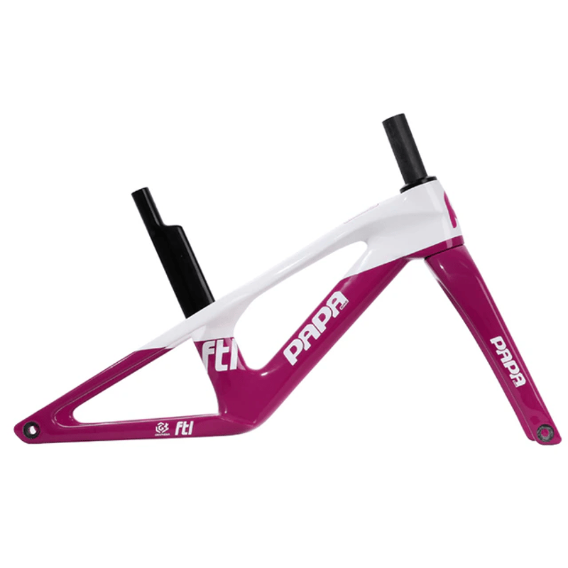 PAPABIKE TESLA パパバイク テスラ カーボンフレーム TESLA | PAPABIKE