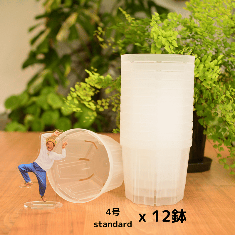 透明鉢《 NEgamieru 》箱80サイズ Mセット | 花森家-2号店-