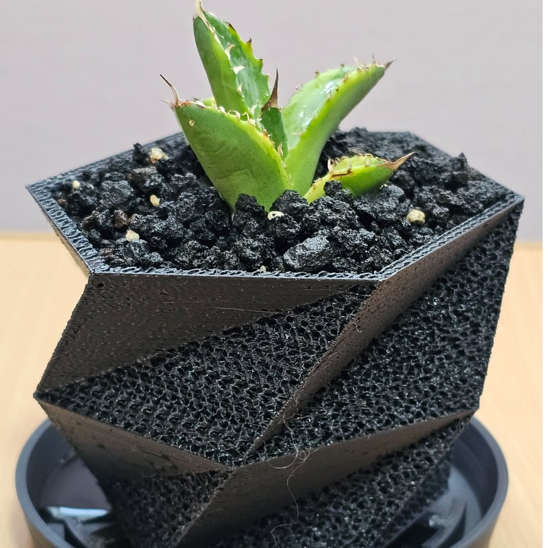 3Dプリンター鉢 メッシュ仕様 ① | Botanikaru SHOP ボルケーノ