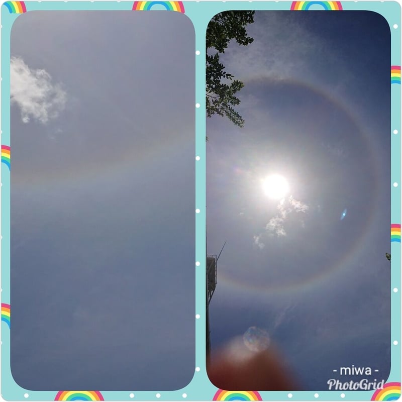 レインボードラゴンアチューンメント | ハッピーマルシェ