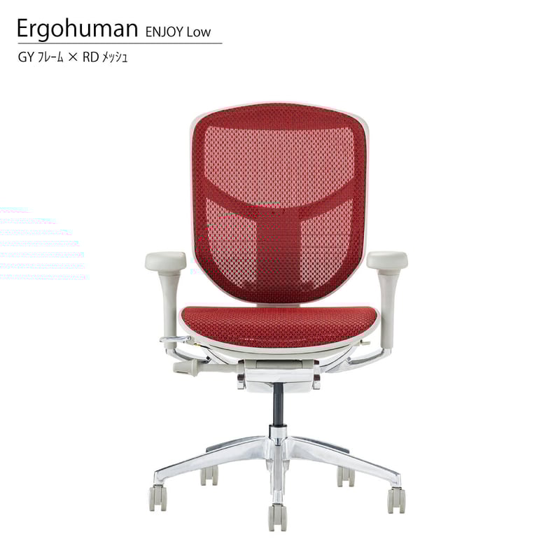 エルゴヒューマンENJOY2ロー - GYフレーム(配送設置組立無料