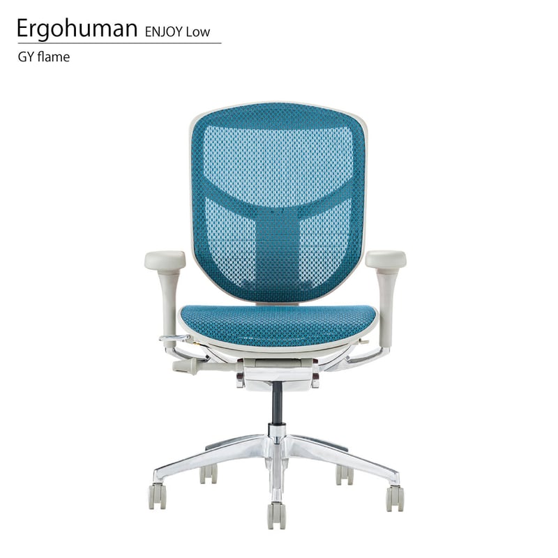 エルゴヒューマンENJOY2ロー - GYフレーム(配送設置組立無料