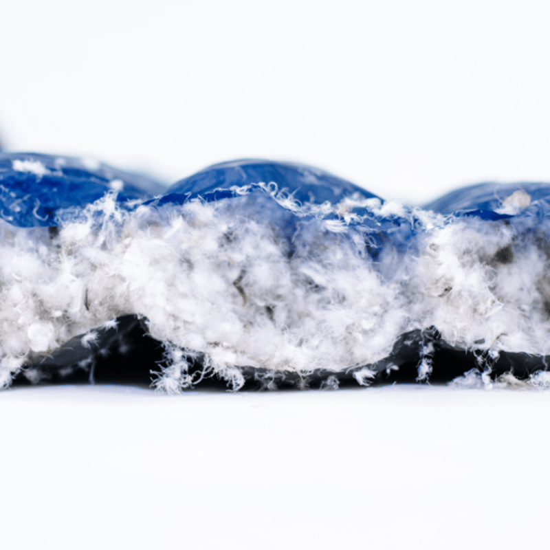 ENLIGHTENED EQUIPMENT】（5℃）Revelation 850FP（ドラフ