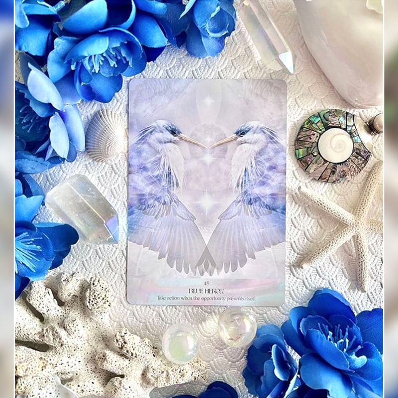 SALT WATER SPIRIT ORACLE【オラクルカード】 | musemuse